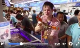 美国小哥爆料视频,视频背后惊人真相曝光！